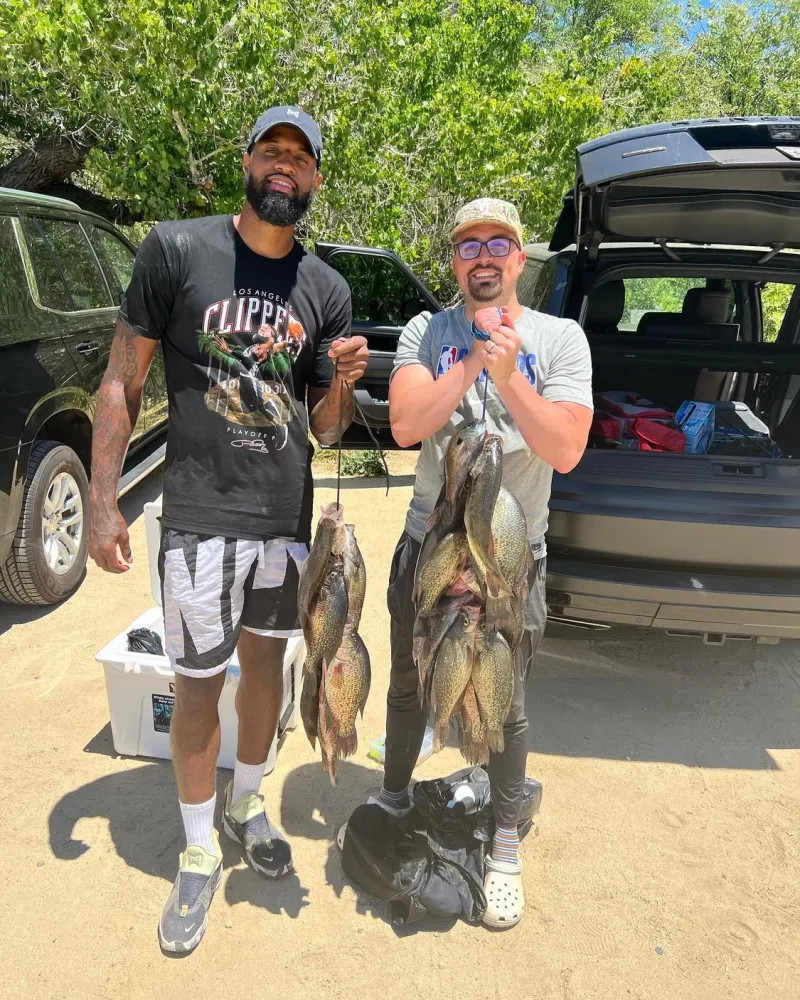 胜率仅为1 胜率仅为1