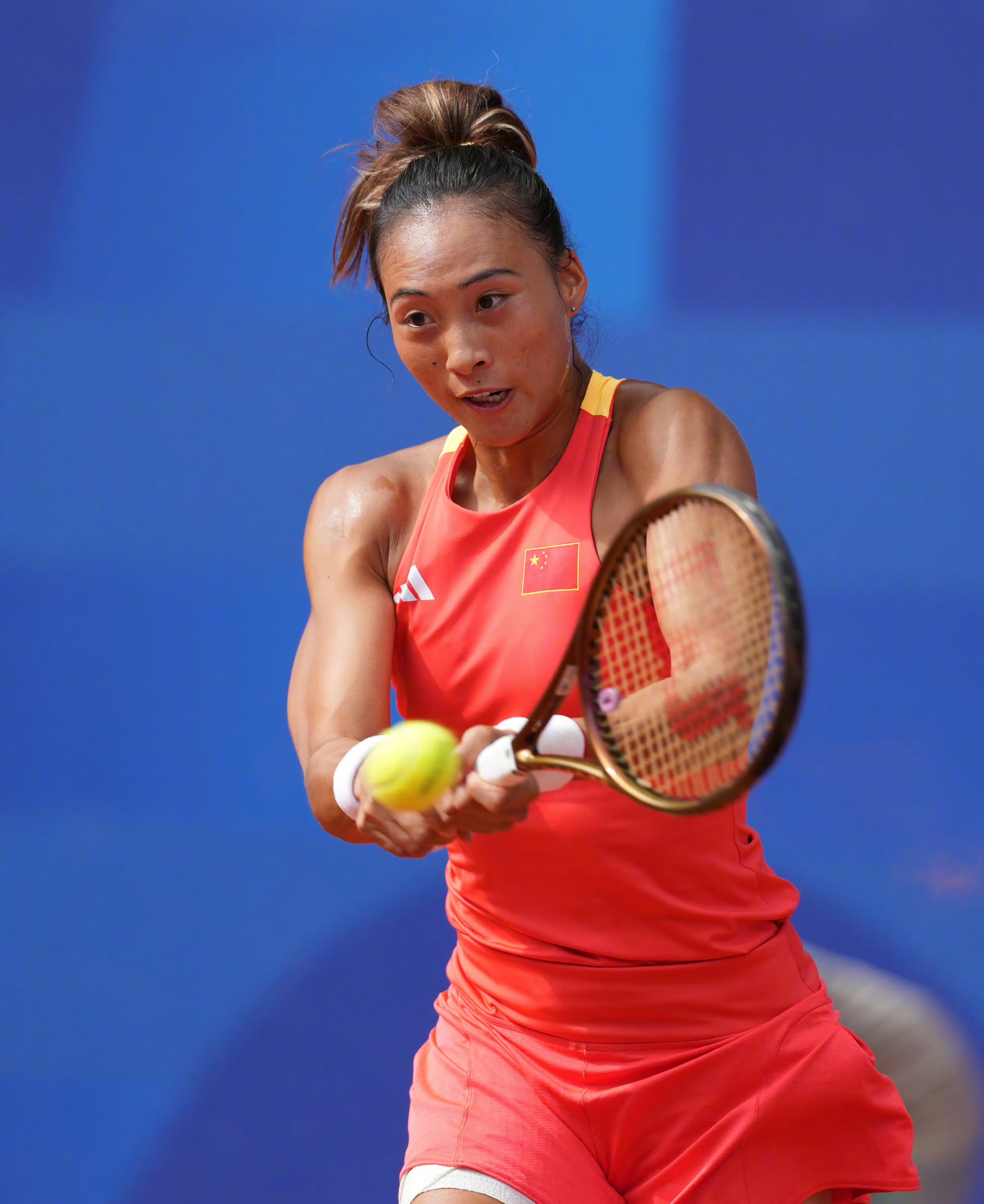 以期在未来 以期在未来